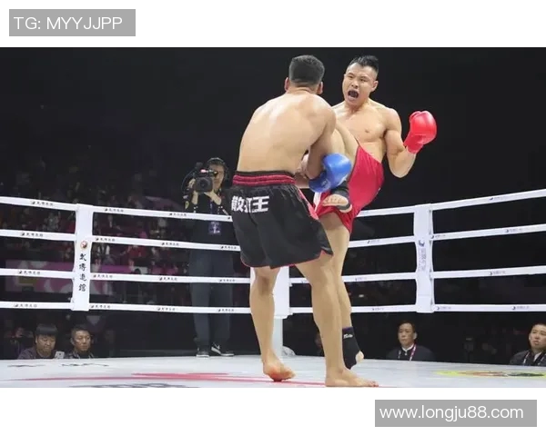 王文忠散打挑战欧洲高手展现中国武术风采与实力对决 王文忠散打挑战欧洲高手展现中国武术风采与实力对决