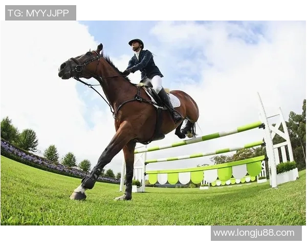 极限挑战与人生哲学:杨强的深度对话与运动探索之旅MBA 极限挑战与人生哲学:杨强的深度对话与运动探索之旅MBA
